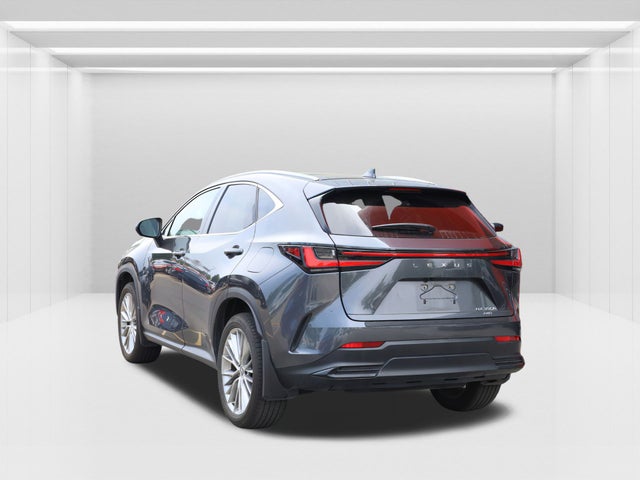 2024 Lexus NX