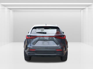 2024 Lexus NX
