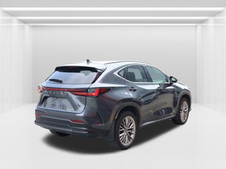2024 Lexus NX