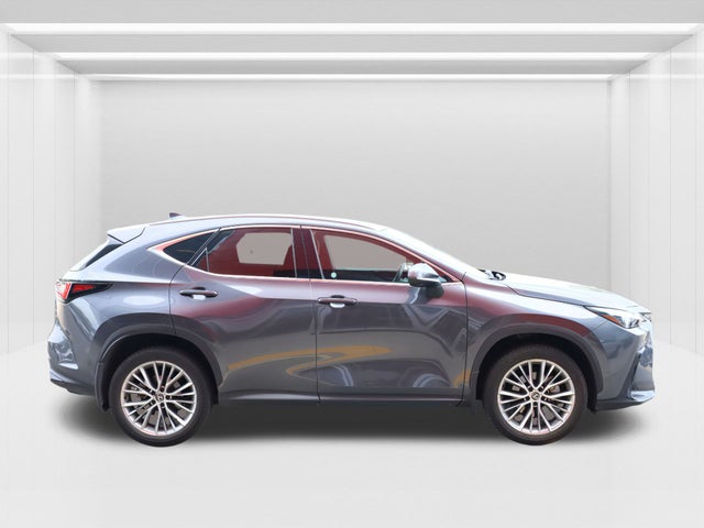2024 Lexus NX