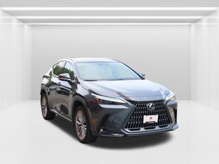 2024 Lexus NX