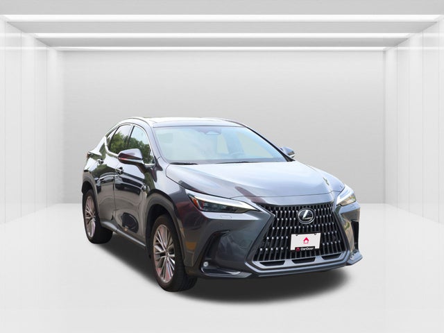 2024 Lexus NX