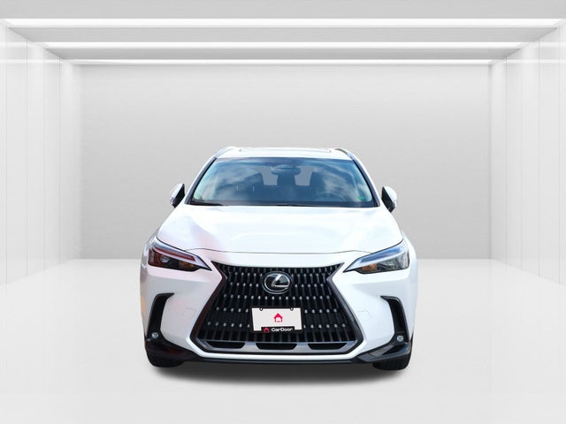 2023 Lexus NX